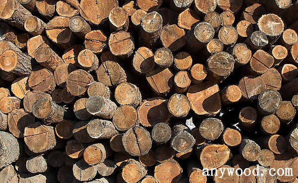批木网 anywood.com