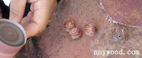 批木网 anywood.com