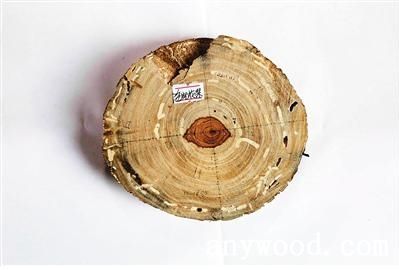 批木网 anywood.com