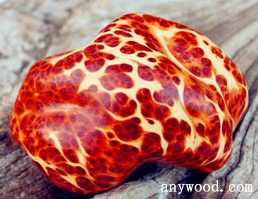 【批木网】anywood.com