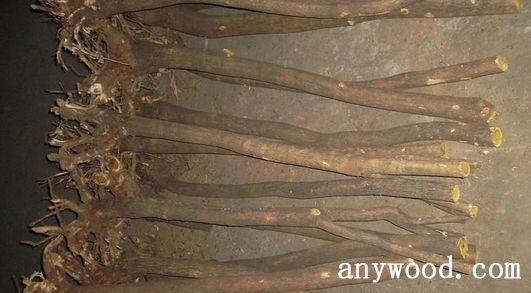 批木网 anywood.com