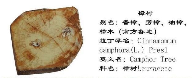 批木网 anywood.com