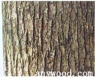 批木网 anywood.com