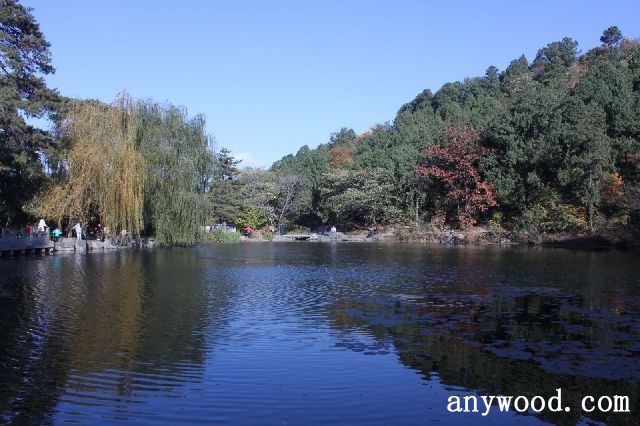 批木网 anywood.com