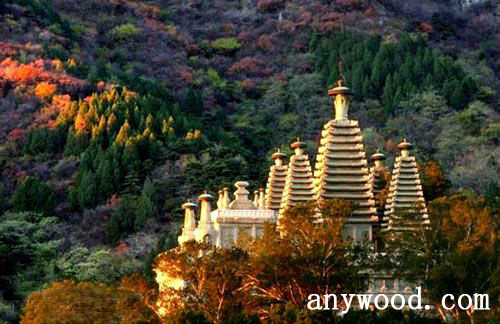批木网 anywood.com
