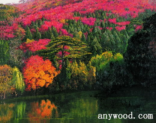 批木网 anywood.com