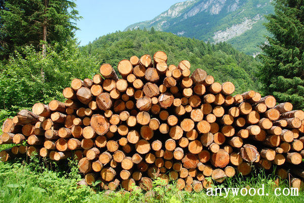 批木网 anywood.com