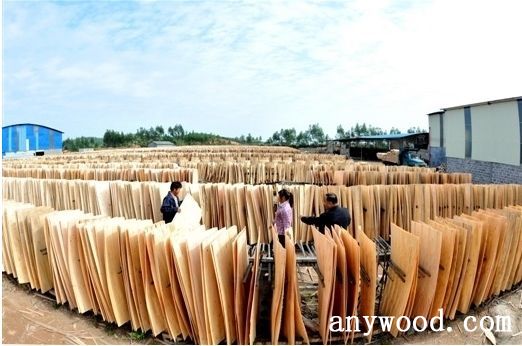 批木网 anywood.com