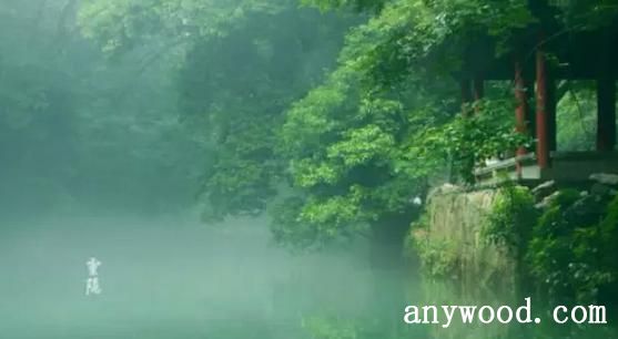 木之景