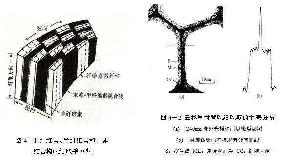 批木网 anywood.com