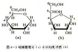 批木网 anywood.com