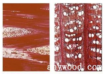 批木网 anywood.com