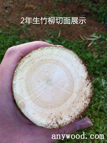 批木网 anywood.com