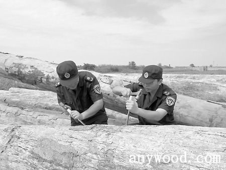 批木网 anywood.com