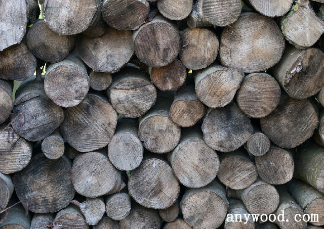 批木网 anywood.com