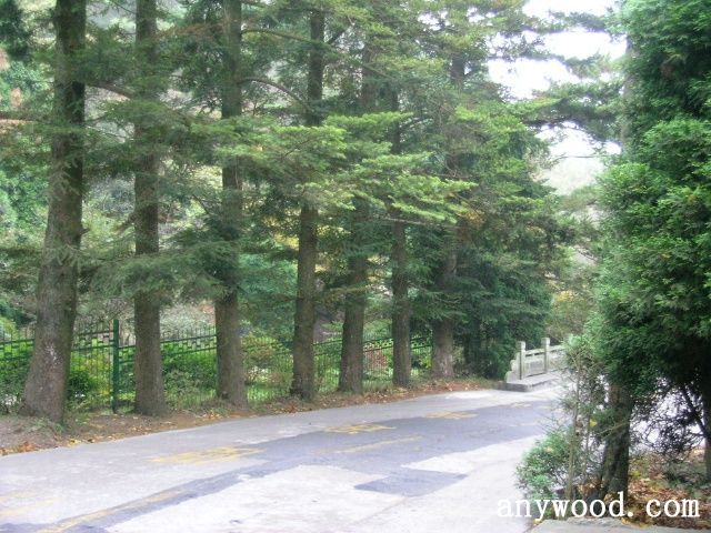 批木网 anywood.com