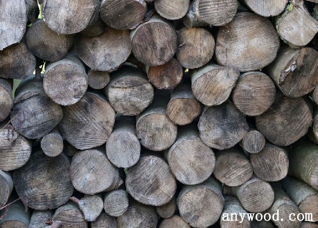 批木网 anywood.com