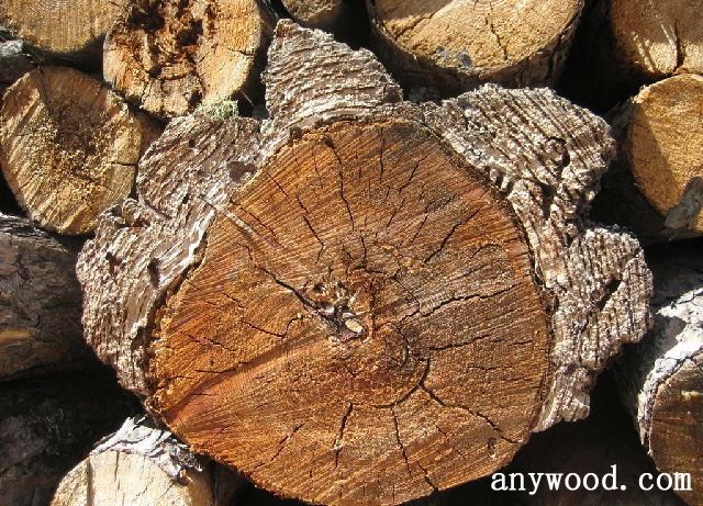 批木网 anywood.com