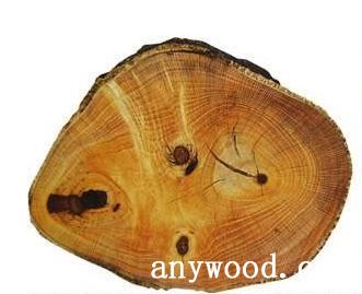 批木网 anywood.com
