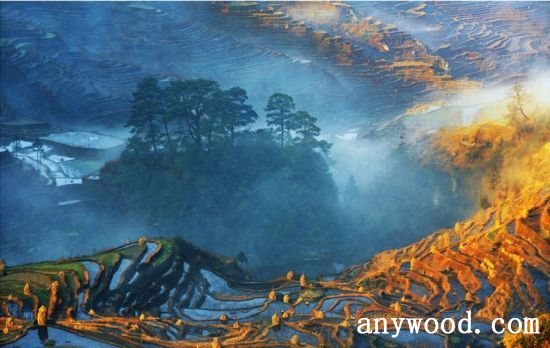 批木网 anywood.com