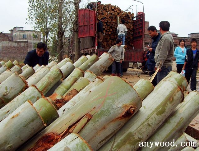 批木网 anywood.com