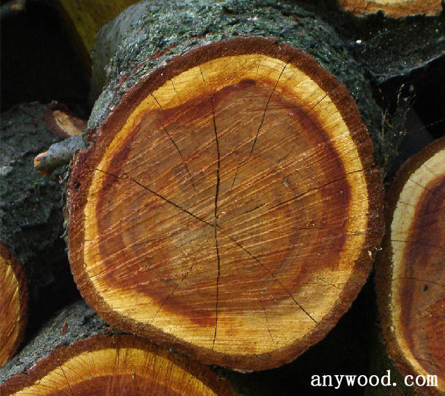 批木网 anywood.com