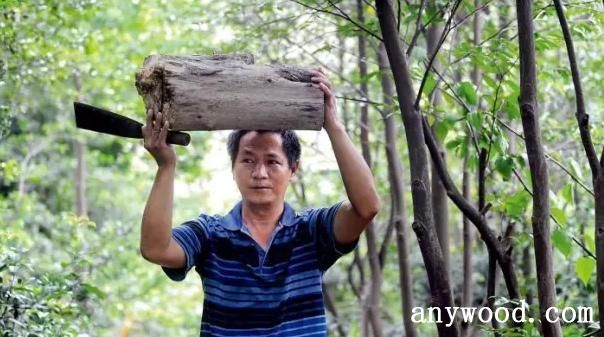 批木网 anywood.com