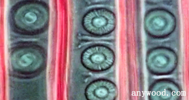批木网 anywood.com