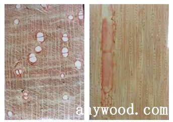 批木网 anywood.com