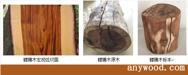 批木网 anywood.com