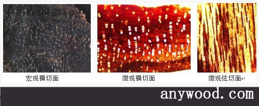 批木网 anywood.com