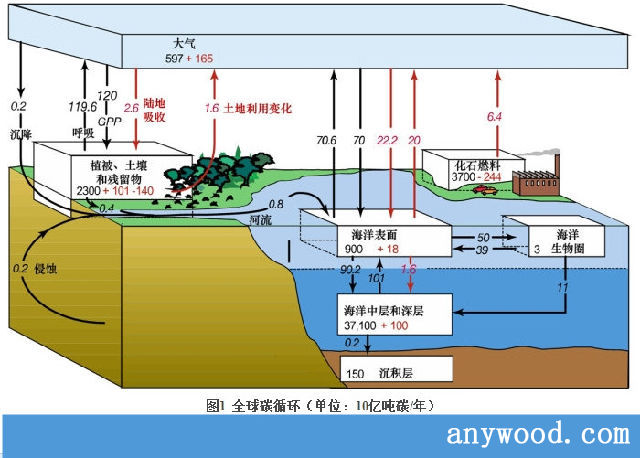 批木网 anywood.com
