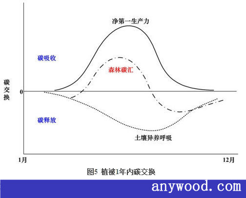 批木网 anywood.com