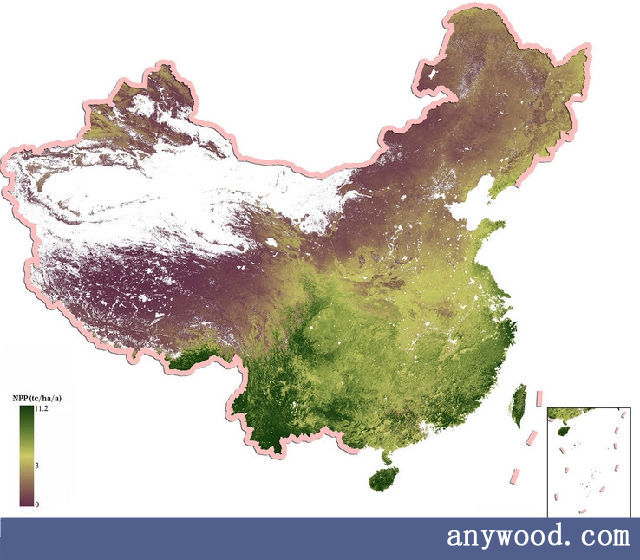 批木网 anywood.com