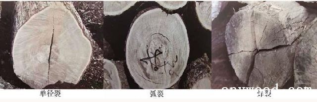 批木网 anywood.com