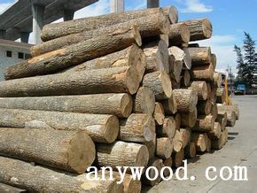 批木网 anywood.com