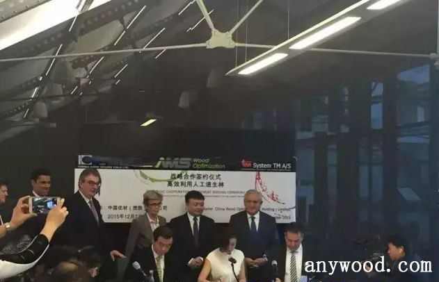 批木网 anywood.com