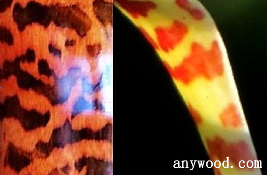 批木网 anywood.com