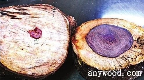 批木网 anywood.com