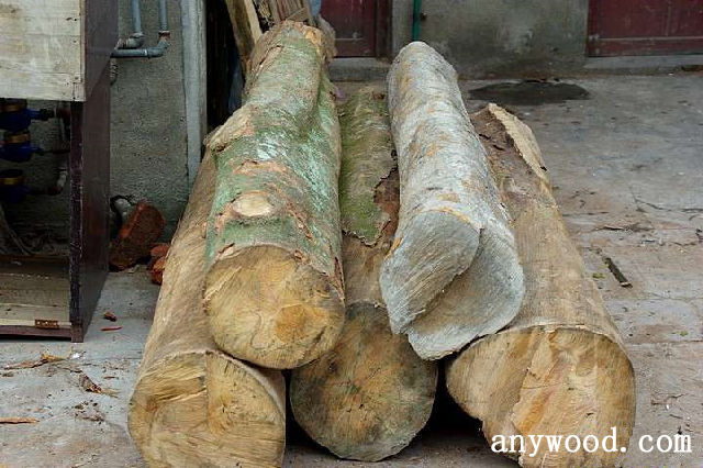 批木网 anywood.com
