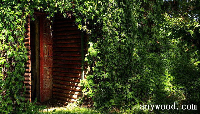 批木网 anywood.com
