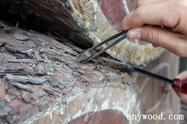 批木网 anywood.com