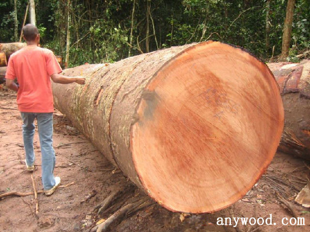 批木网 anywood.com