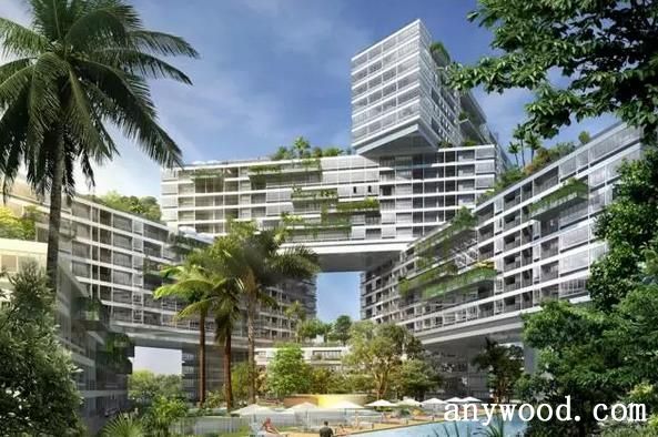 The Interlace