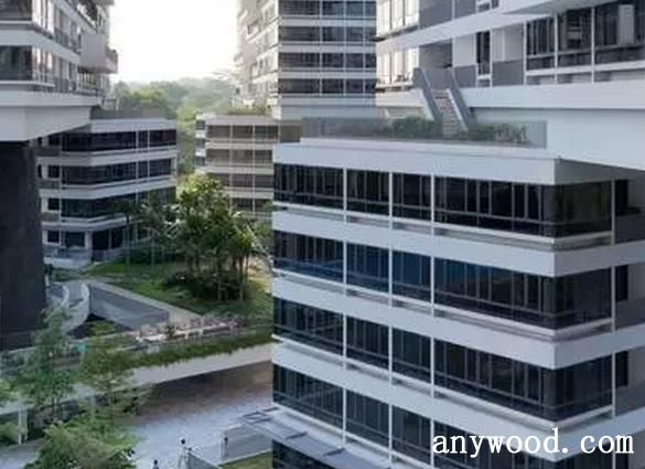 The Interlace