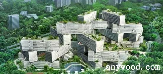 The Interlace