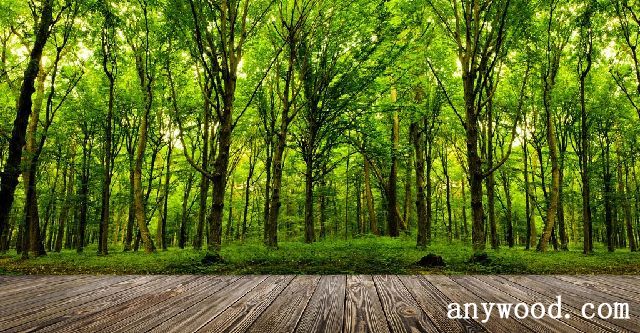 批木网 anywood.com