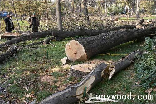 批木网 anywood.com