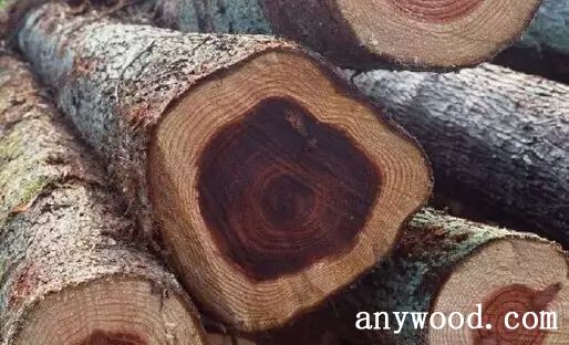 批木网 anywood.com