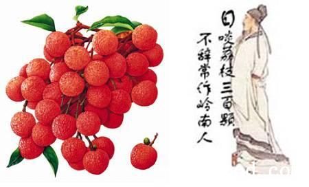 批木网 anywood.com